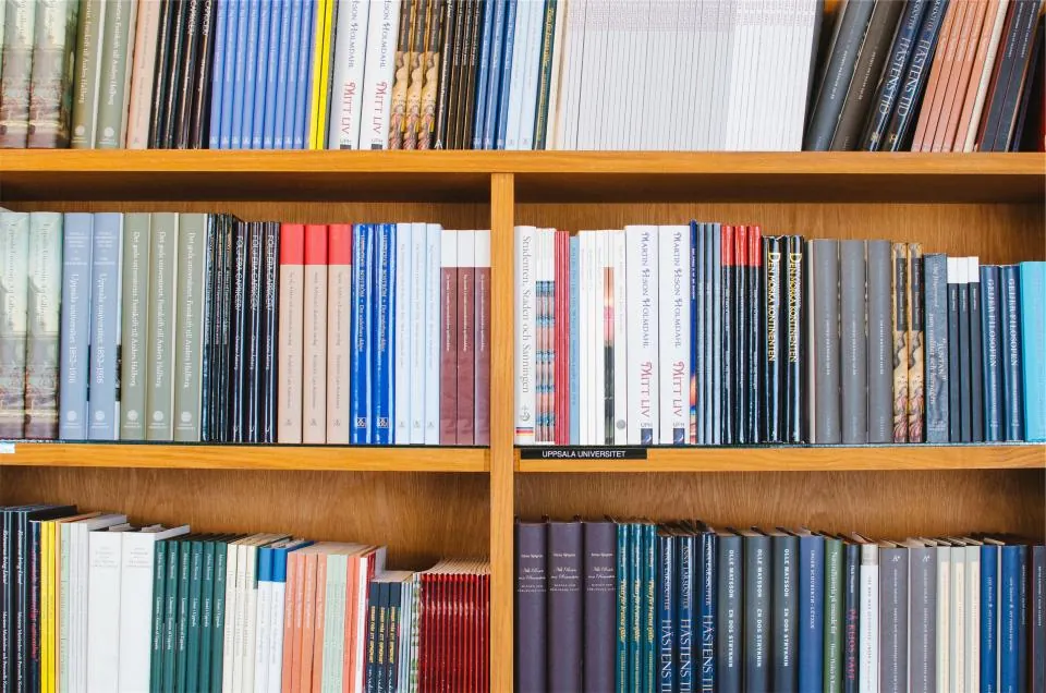 Bookshelf full of books