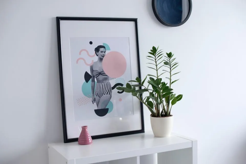 Framed art print leaning on a white shelf next to a plant