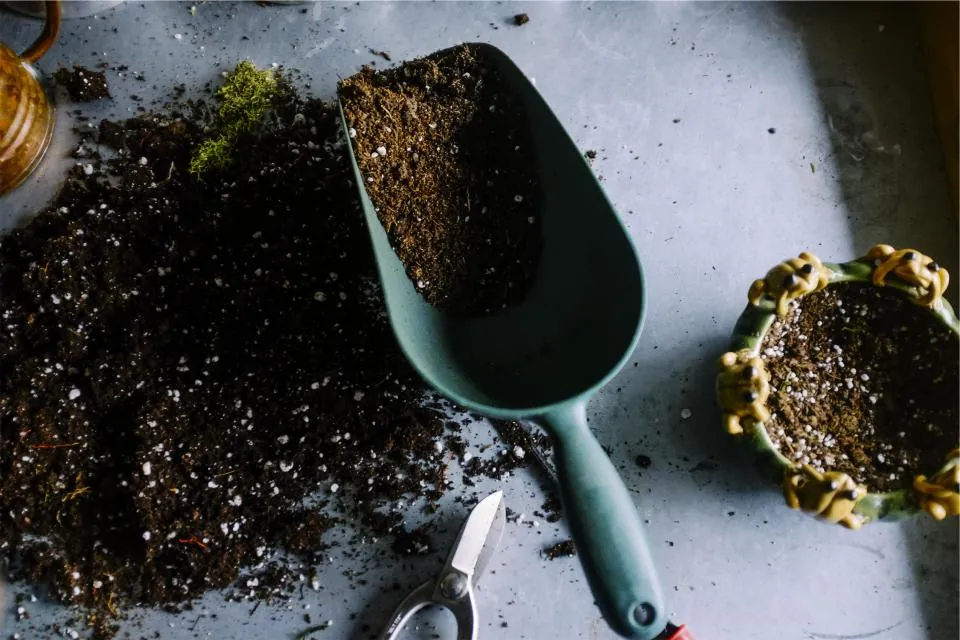 A garden trowel in a pile of soil